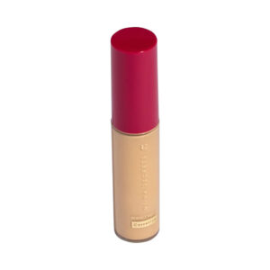 Corretivo Niina Secrets Perfect Match Cor 10
