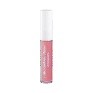 Lip Gloss Dailus Morango do Amor Calda de Açúcar